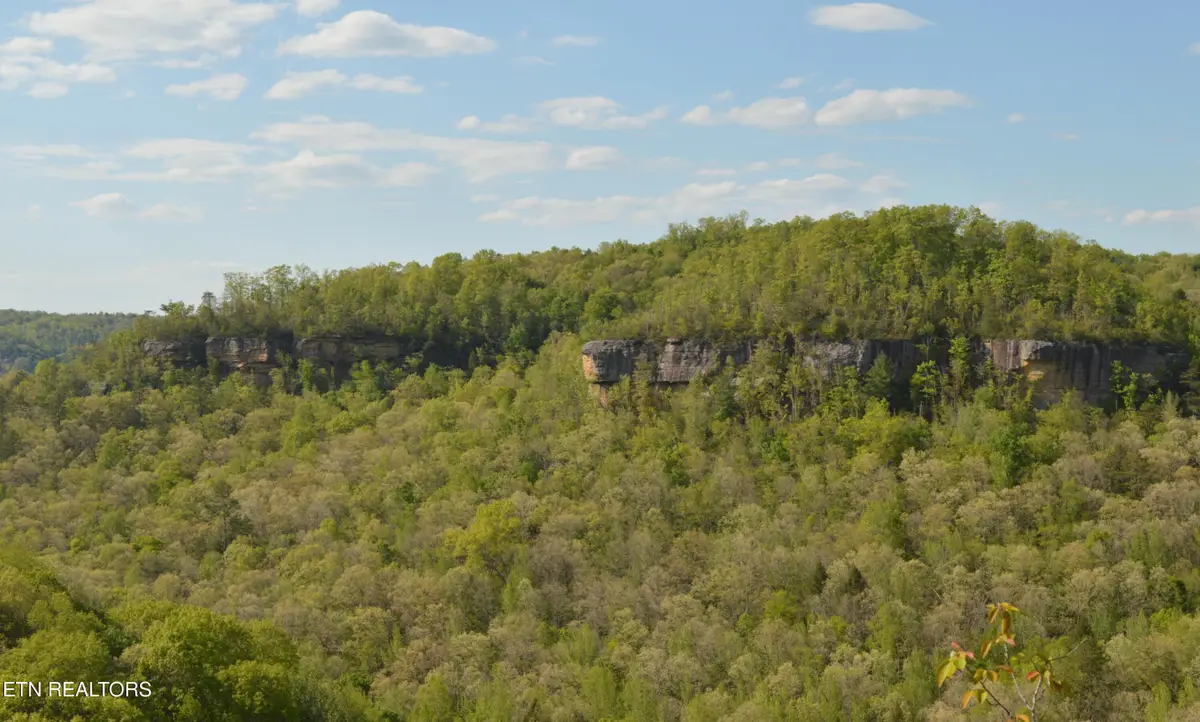 1501 Rob Watson Rd, Oneida, TN 37841 - #1