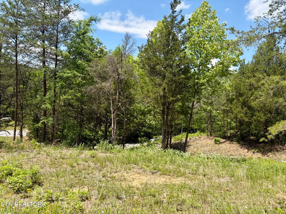 Burchfiel Way, Sevierville, TN 37876 - #1