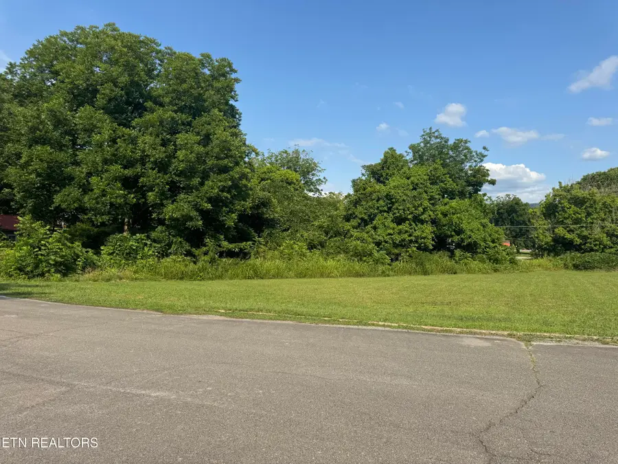 .947 ac Washington Ave, Etowah, TN 37331 - #3
