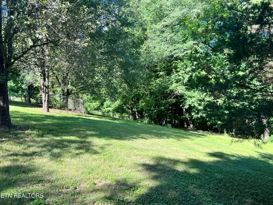 1455 Davis Chapel Rd, Lafollette, TN 37766 - #2