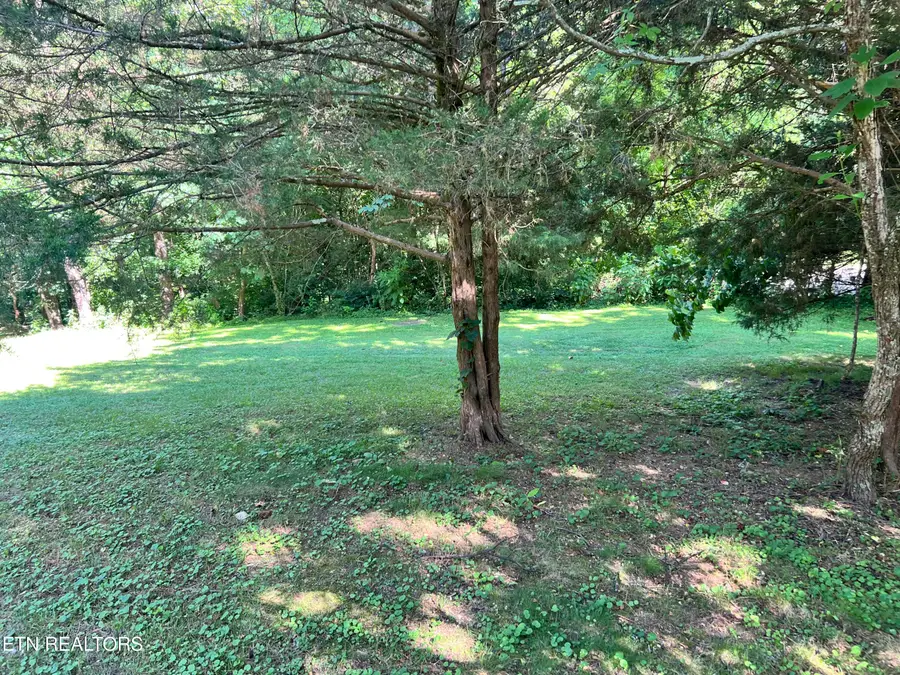 1455 Davis Chapel Rd, Lafollette, TN 37766 - #3