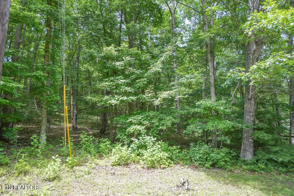 S Peterson Rd, Tallassee, TN 37878 - #1