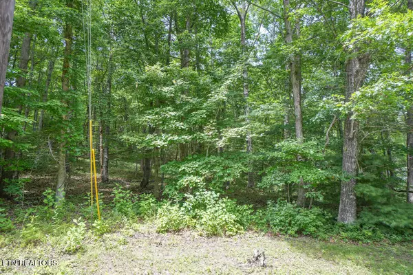 S Peterson Rd, Tallassee, TN 37878