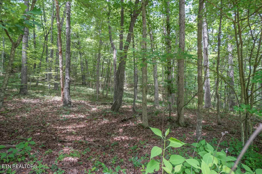 S Peterson Rd, Tallassee, TN 37878 - #3