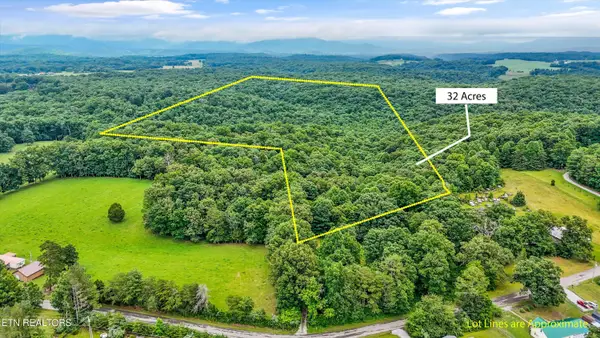 146 Harkle Rd, Lancing, TN 37770