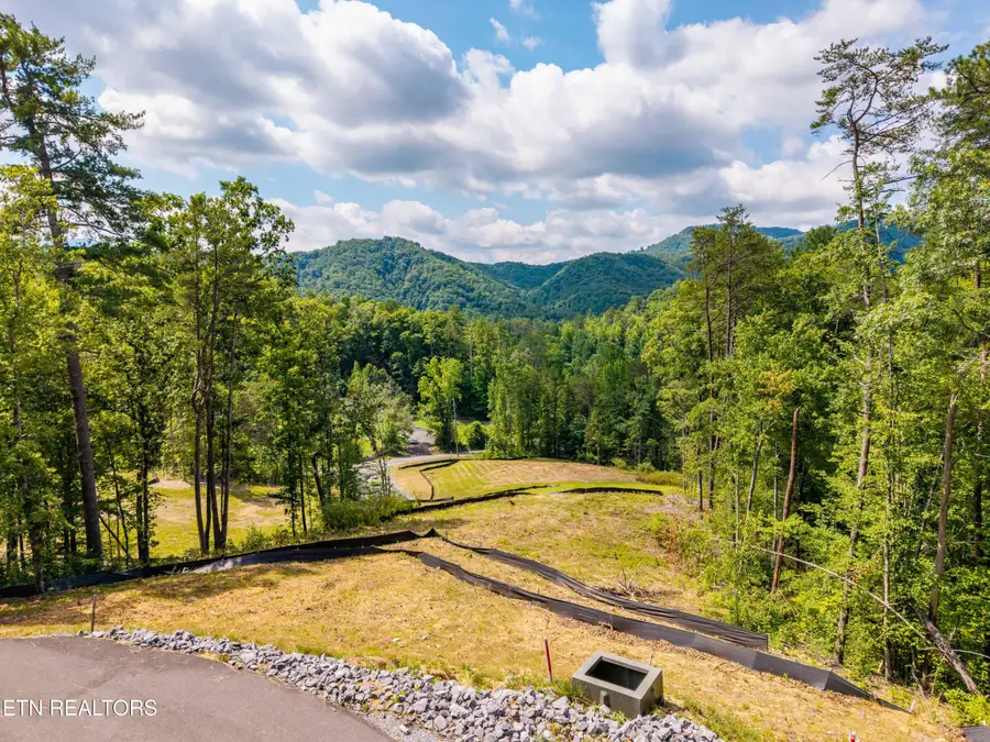 Waldens Creek Rd, Sevierville, TN 37862 - #3