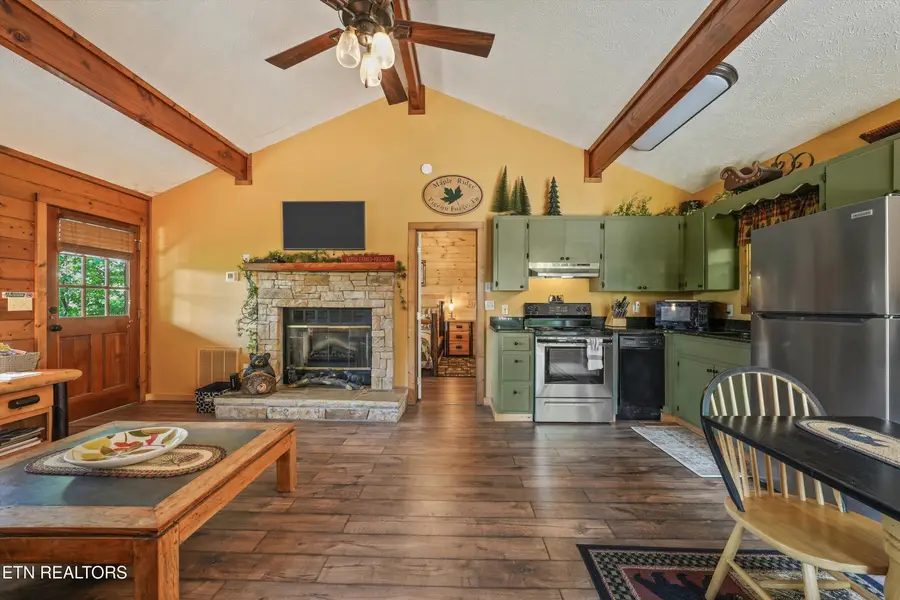 4403 New Pioneer Tr, Pigeon Forge, TN 37863 - #2