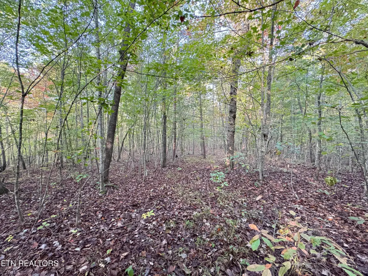 Lot 7 Crest View Drive, Sunbright, TN 37872 - #1
