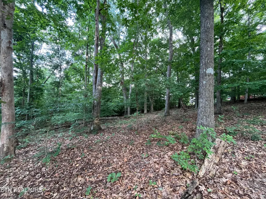3278 Hillside Rd, White Pine, TN 37890 - #3