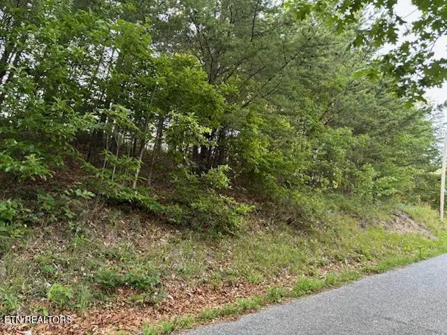 00 Top Rd, Sevierville, TN 37876 - #3