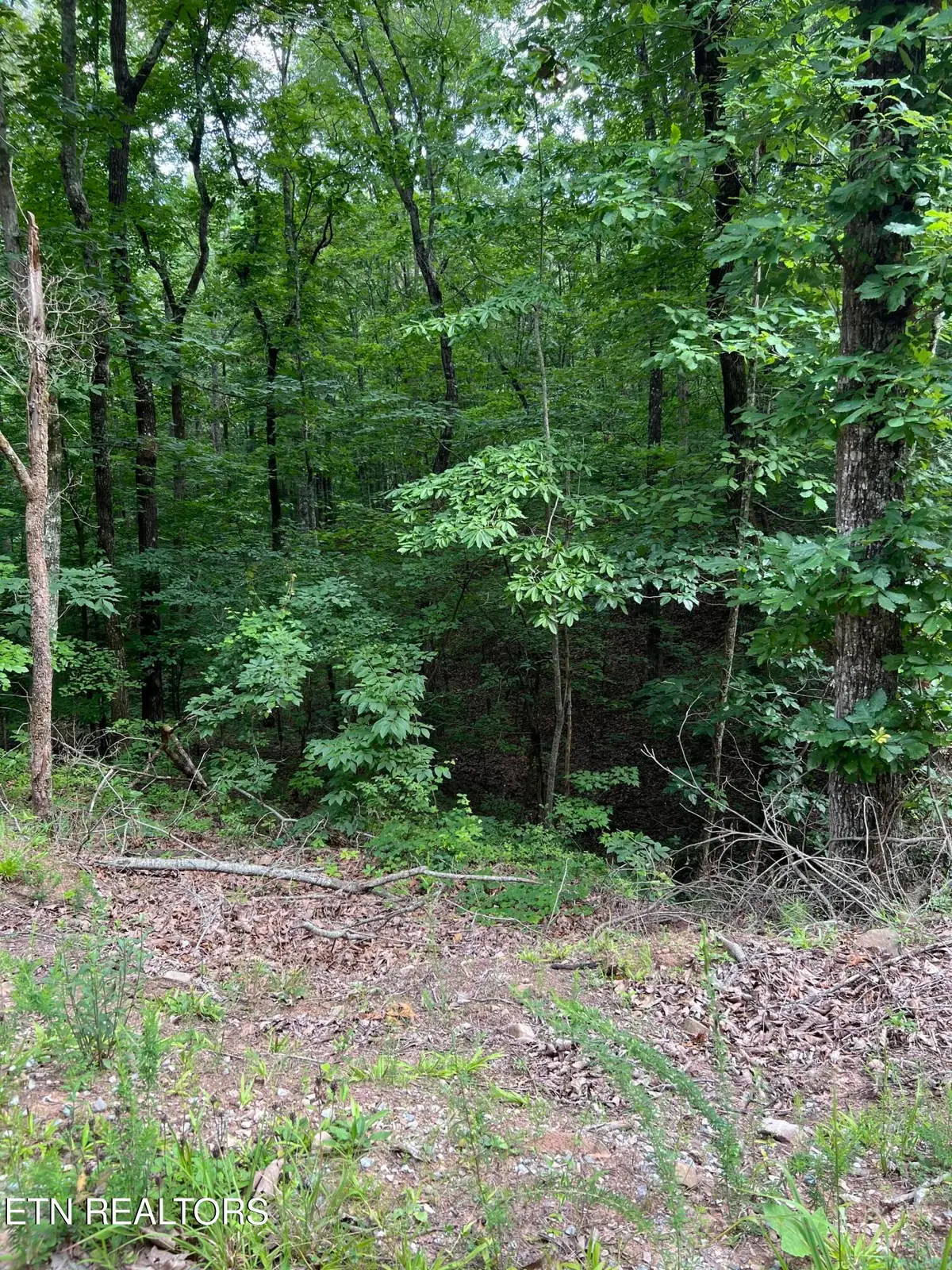 Three Point Rd, Vonore, TN 37885 - #1