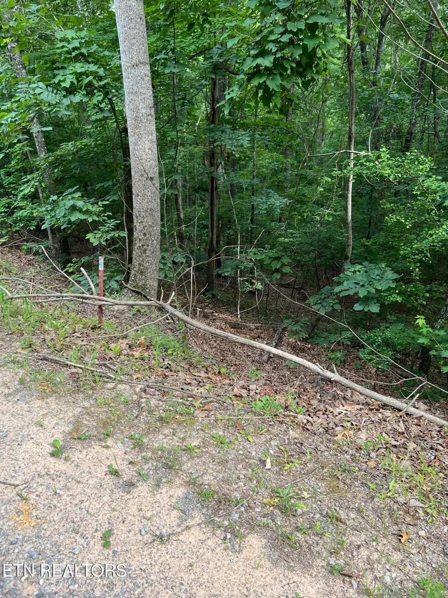 Three Point Rd, Vonore, TN 37885 - #3