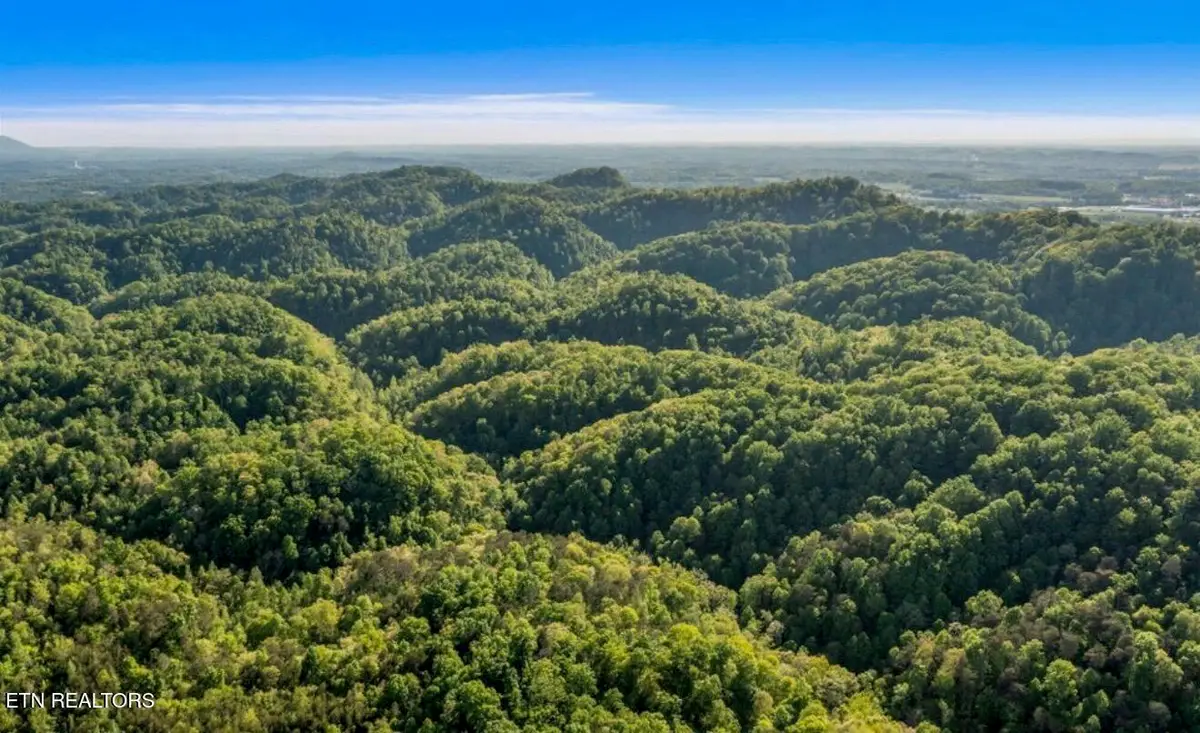 County Road 484, Etowah, TN 37331 - #1