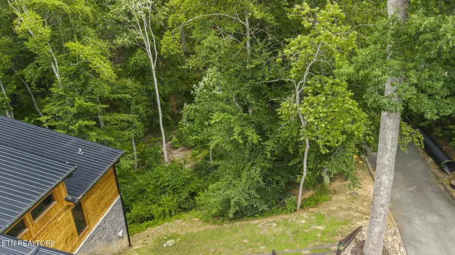 Lot #135 Wild Heron Way, Sevierville, TN 37862 - #3