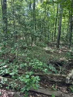 850 Lick Hollow Drive, Grandview, TN 37337 - #1