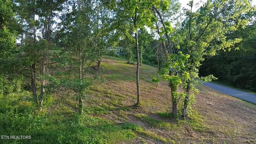 Grantsboro Rd, Lafollette, TN 37766 - #3