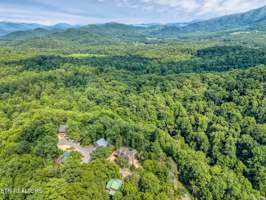196 Cold Springs Trace, Townsend, TN 37882 - #2