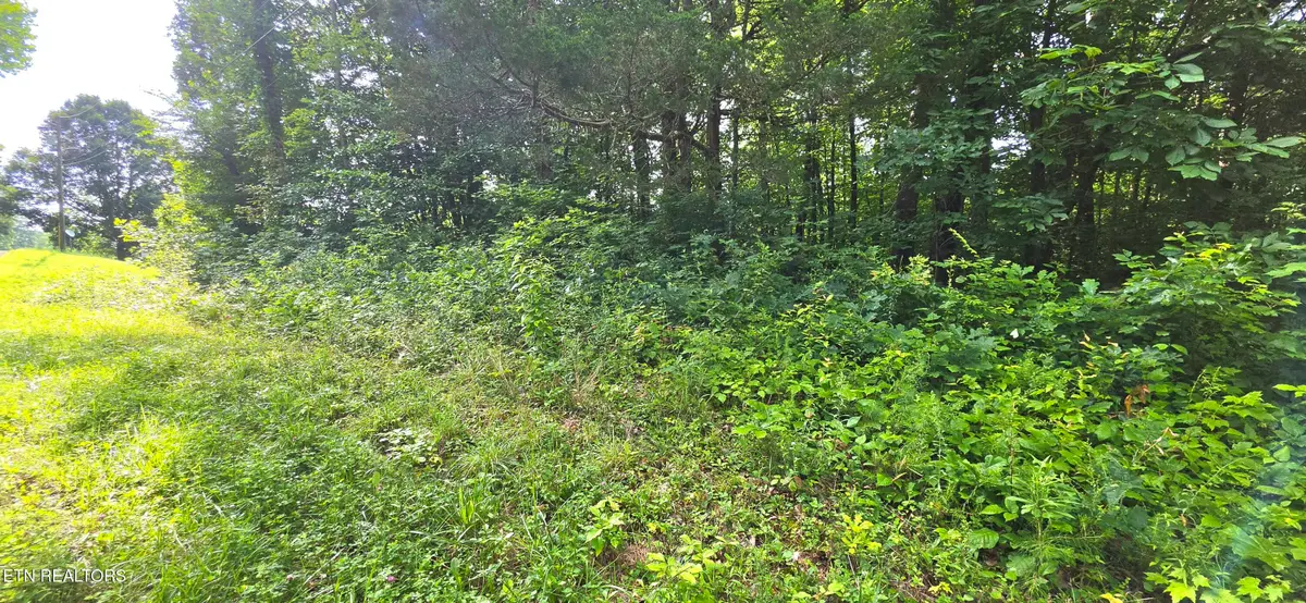Lot 18 Pine Lane, Maynardville, TN 37807 - #1