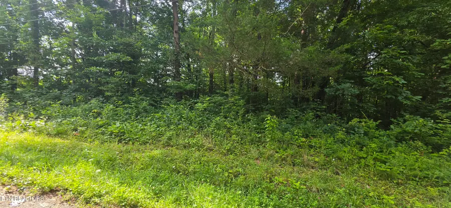 Lot 18 Pine Lane, Maynardville, TN 37807 - #2