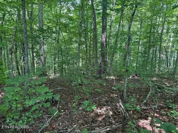 Lot 4 Hackworth Rd, Knoxville, TN 37931