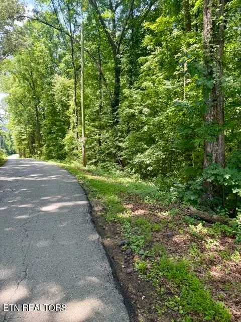 Lot 4 Hackworth Rd, Knoxville, TN 37931 - #2