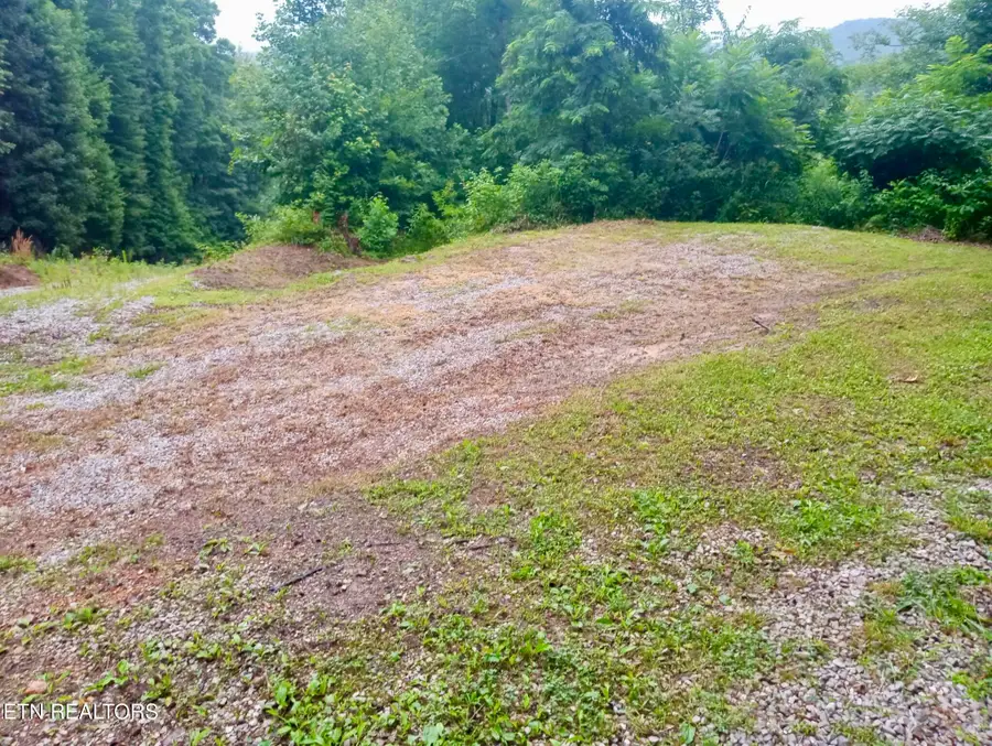 Roe Lane, Winfield, TN 37892 - #2