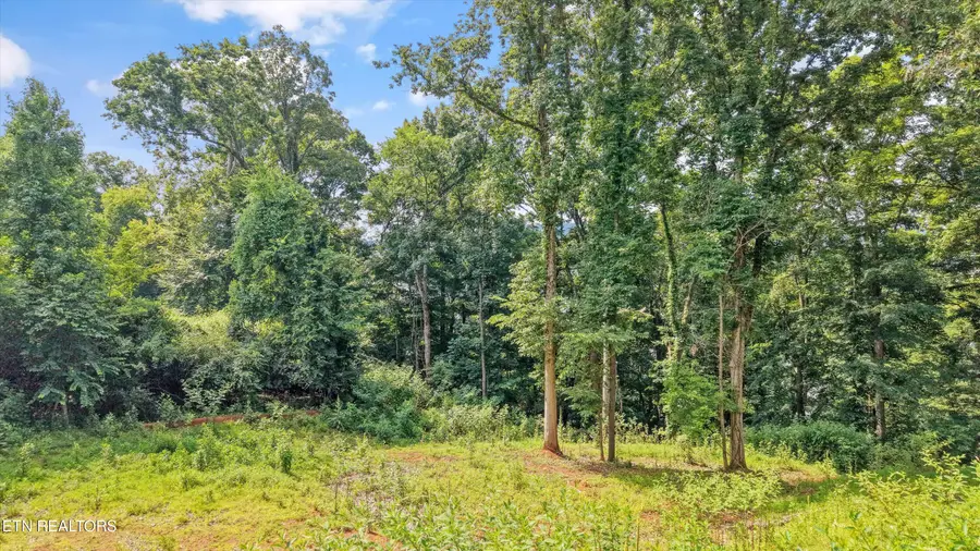 L-13 Cedar Grove St #Lot 13, Loudon, TN 37774 - #3