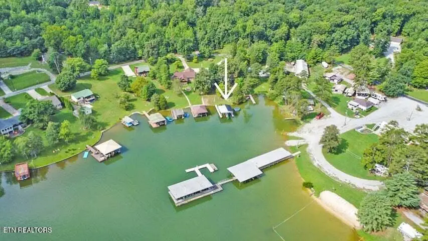 769 Scenic Lakeview Drive, Spring City, TN 37381 - #2