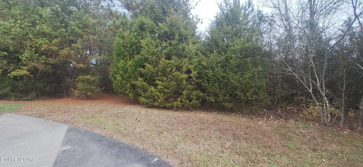 Raintree Lane, Kingston, TN 37763 - #1