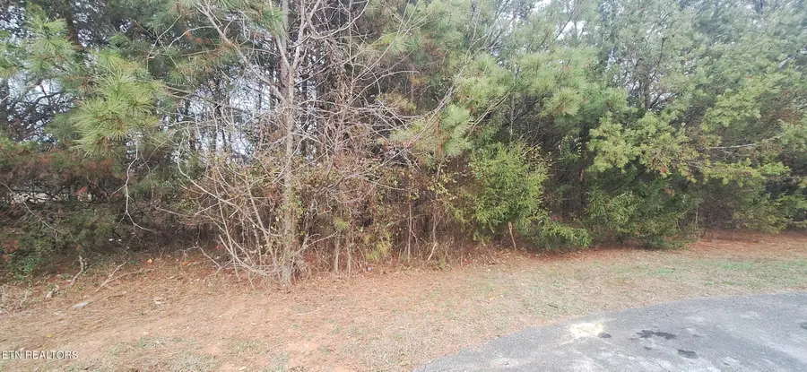 Raintree Lane, Kingston, TN 37763 - #3