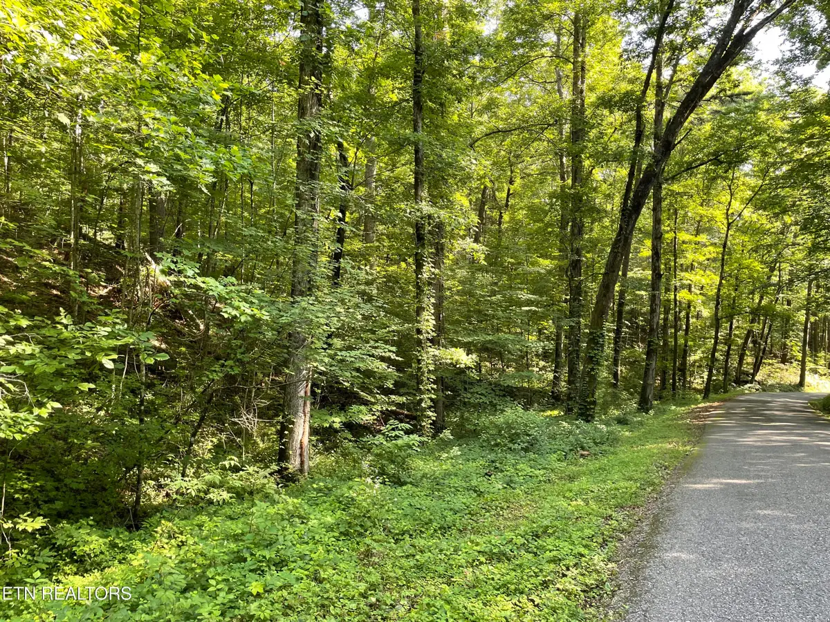 Turkey Creek Rd, Tellico Plains, TN 37385 - #1