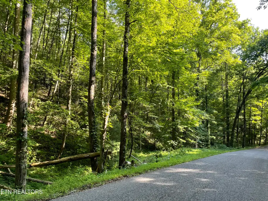 Turkey Creek Rd, Tellico Plains, TN 37385 - #2