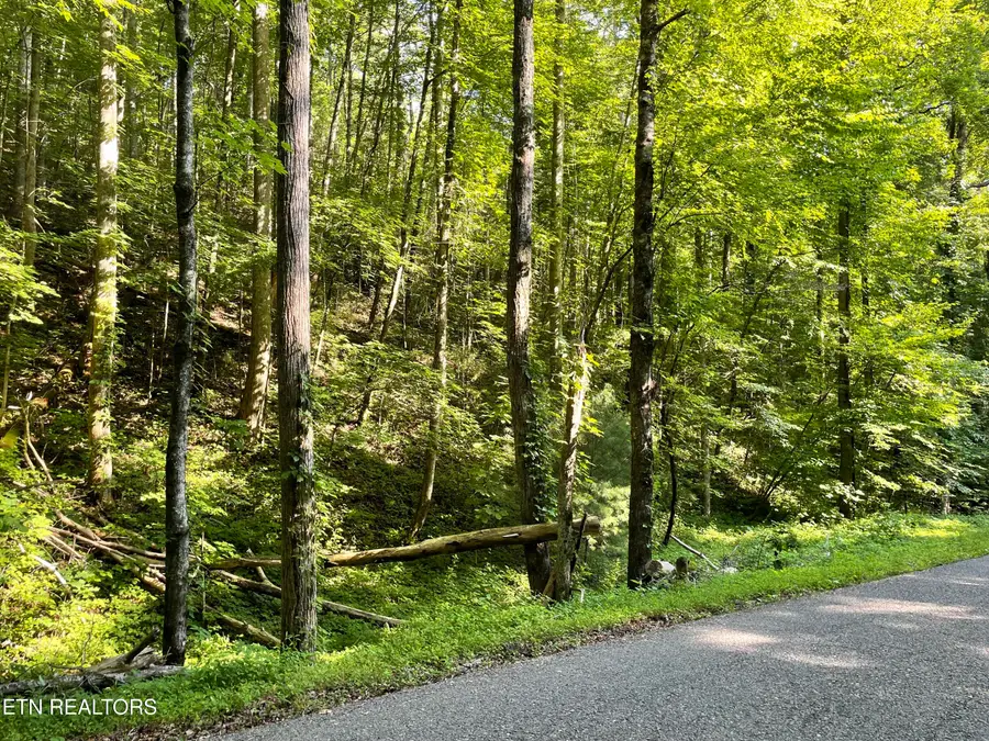 Turkey Creek Rd, Tellico Plains, TN 37385 - #3