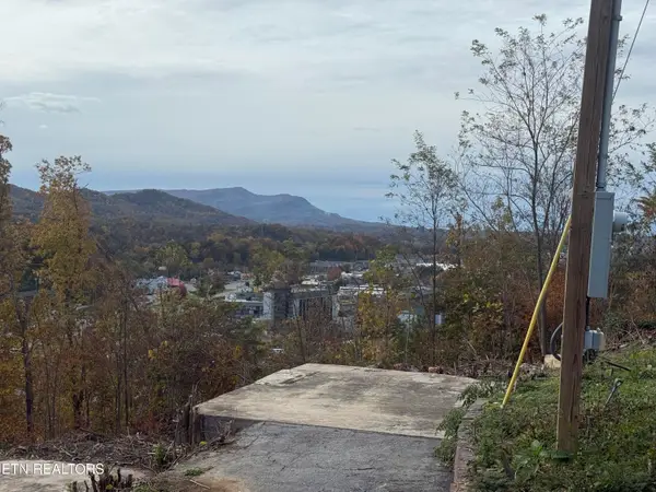 201 Cherry Laurel Drive #201, Pigeon Forge, TN 37863