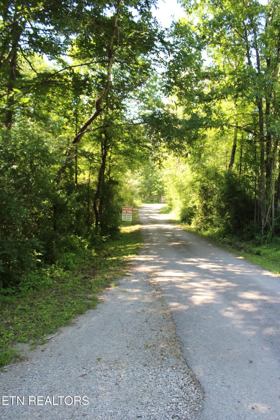 Goney Rd, Grimsley, TN 38565 - #3
