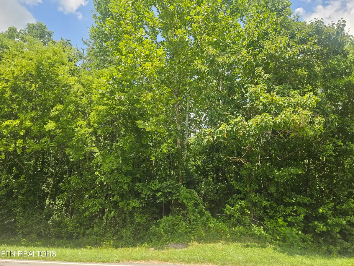 Loudon Rd #231, Philadelphia, TN 37846 - #1
