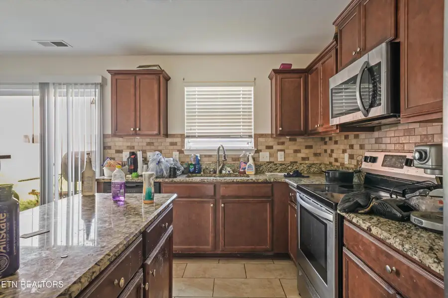 9409 Calla Lilly Lane, Mascot, TN 37806 - #3