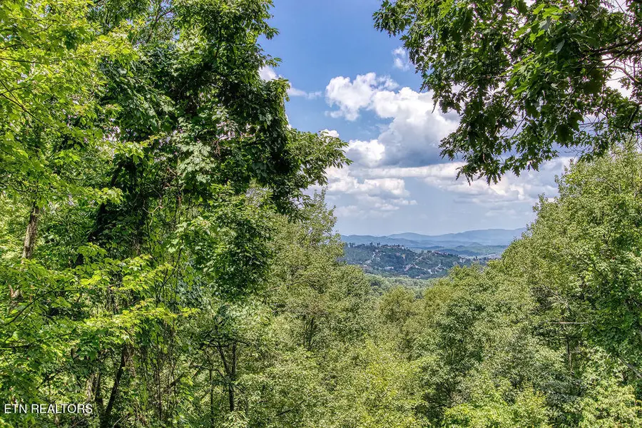 1651 Arbon Court, Gatlinburg, TN 37738 - #2