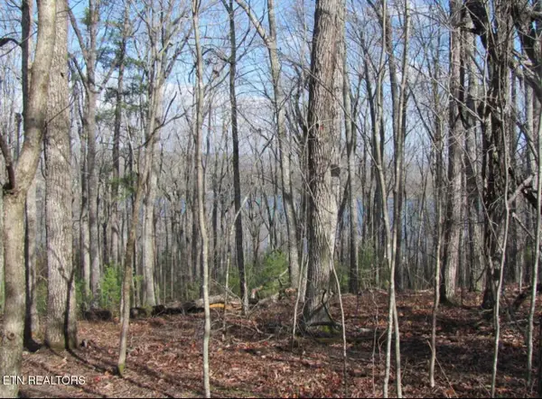 Markham Lane, Fairfield Glade, TN 38558