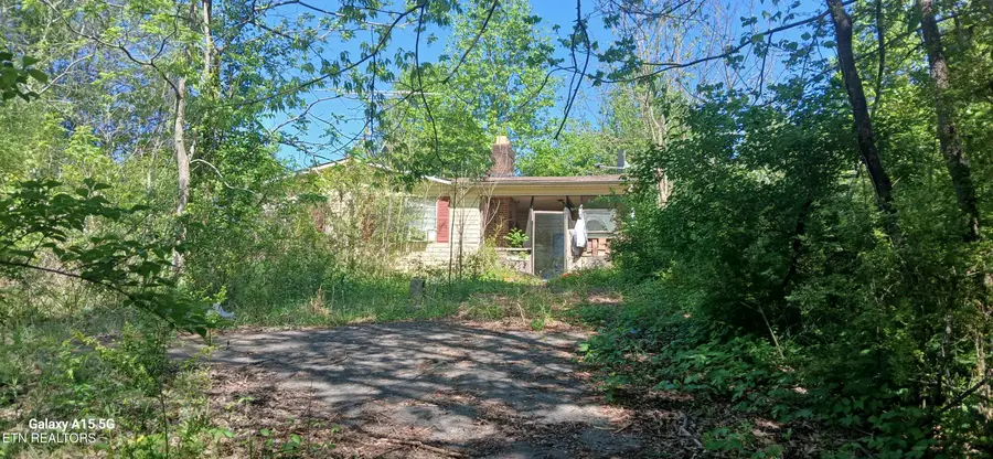 240 County Road 564, Englewood, TN 37329 - #3