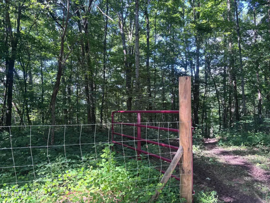 300 Walker Rd, Sharps Chapel, TN 37866 - #2