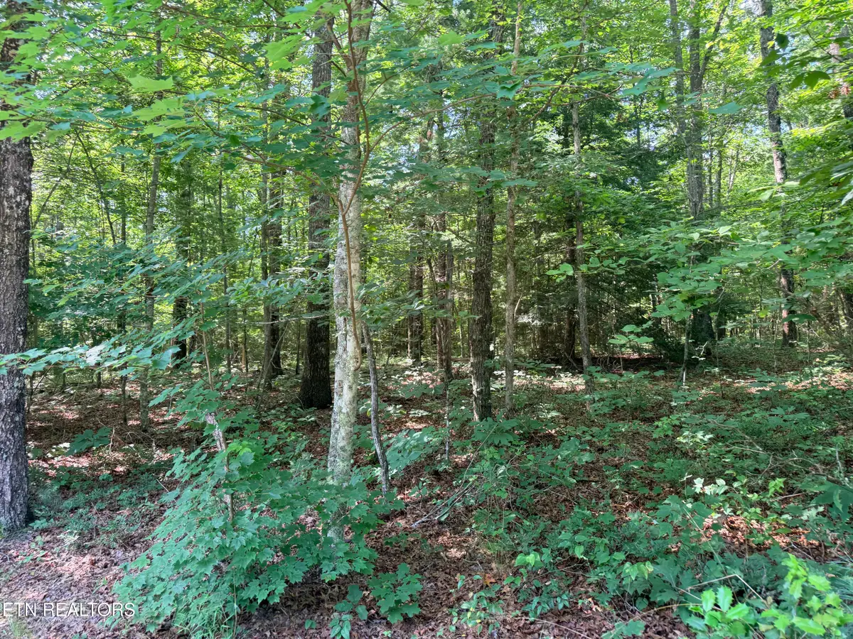 390 Georgee Rd, Jamestown, TN 38556 - #1