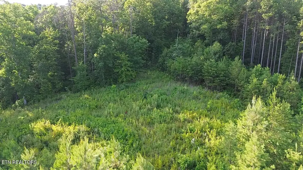 Lot 35 Winding Tr, Vonore, TN 37885 - #1