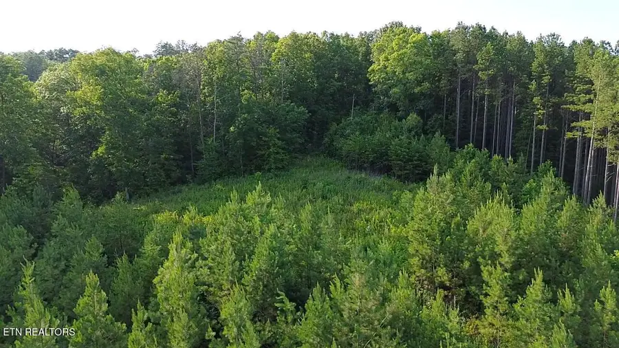 Lot 35 Winding Tr, Vonore, TN 37885 - #3