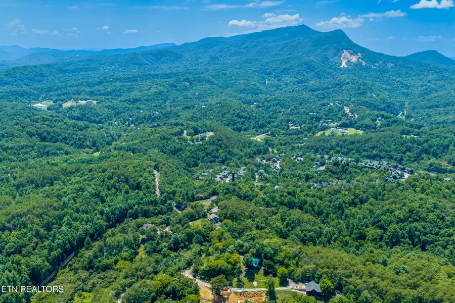 Raejon Way, Sevierville, TN 37862 - #3