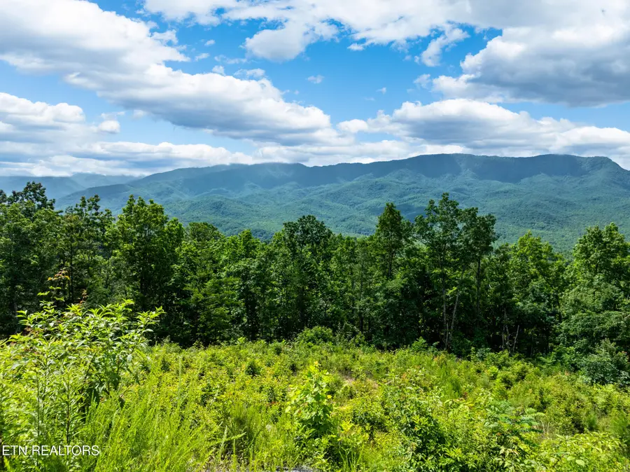 648 Almost Heaven Way, Gatlinburg, TN 37738 - #2