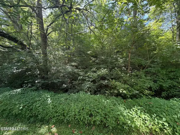 Lot 12 Smoky Mountain Way, Sevierville, TN 37876