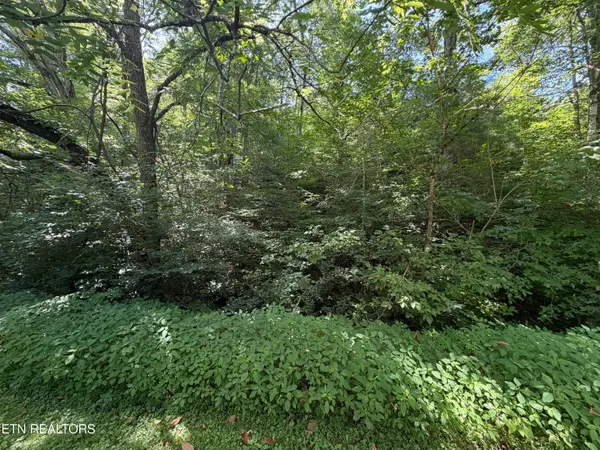Lot 13 Smoky Mountain Way, Sevierville, TN 37876