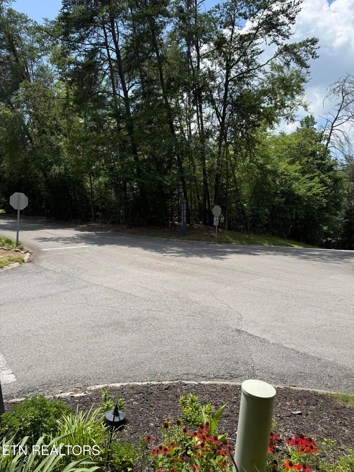 Point Harbour Drive, Lenoir City, TN 37772 - #1