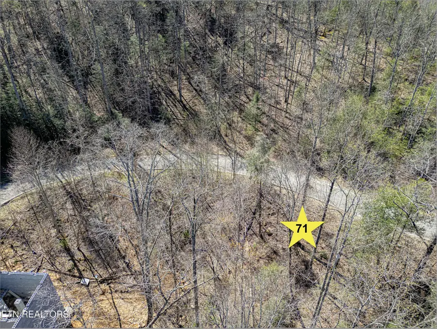 Lot #71 Smoky Ridge Way, Sevierville, TN 37862 - #3